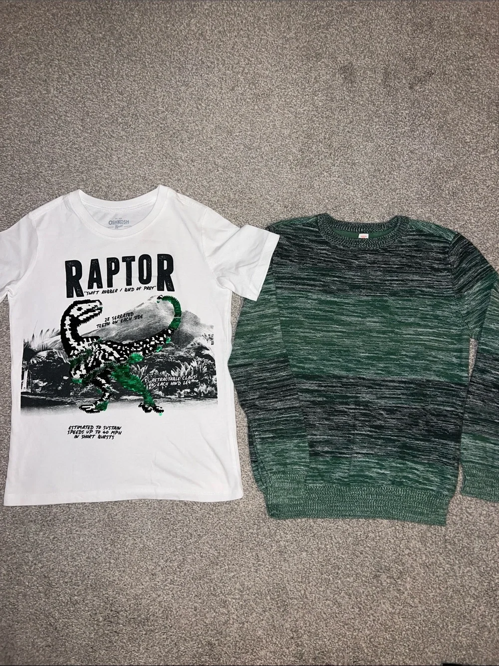 Boys green item bundle - OshKosh Raptor Flip Sequin Tee and Cat & Jack Sweater 🦖